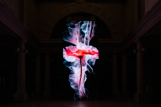 Boundaries by Memo Akten and Katie Hofstadter, installation view at UnfoldX, Seoul, South Korea. Image ⓒSFAC, 2024.
